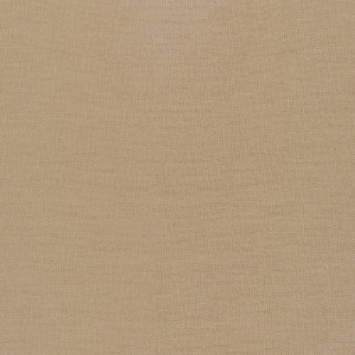 Cloud 9 Solid Cotton Canvas in Barnwood