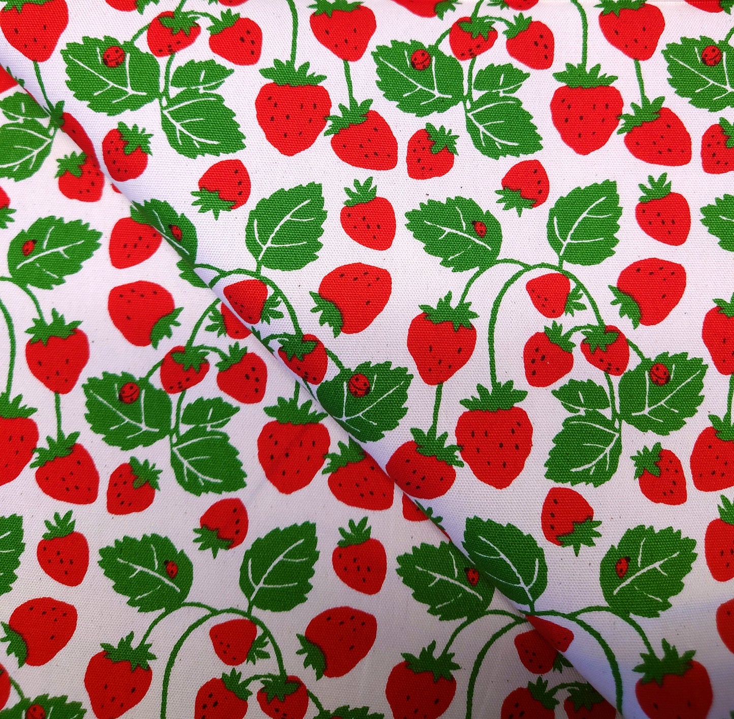 Strawberry Vines Japanese Cotton Oxford on White