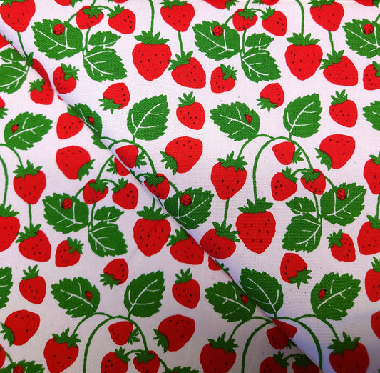 Strawberry Vines Japanese Cotton Oxford on White