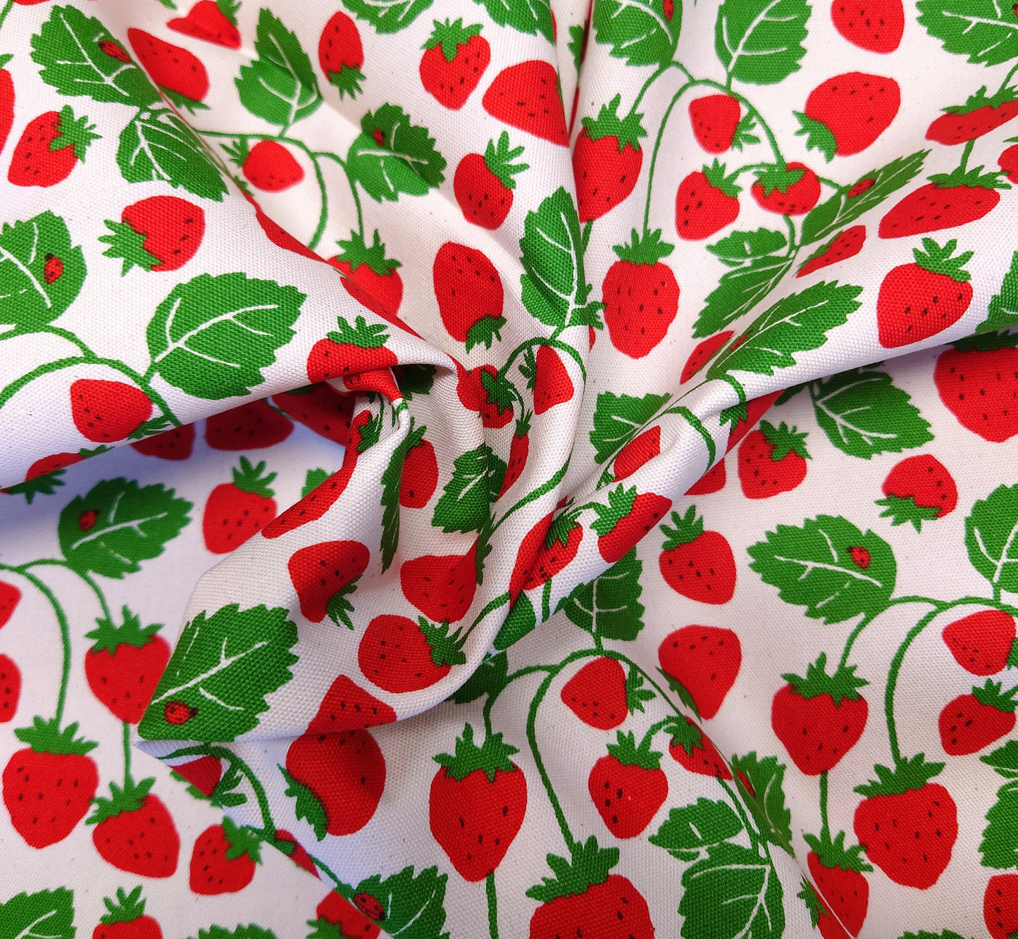 Strawberry Vines Japanese Cotton Oxford on White