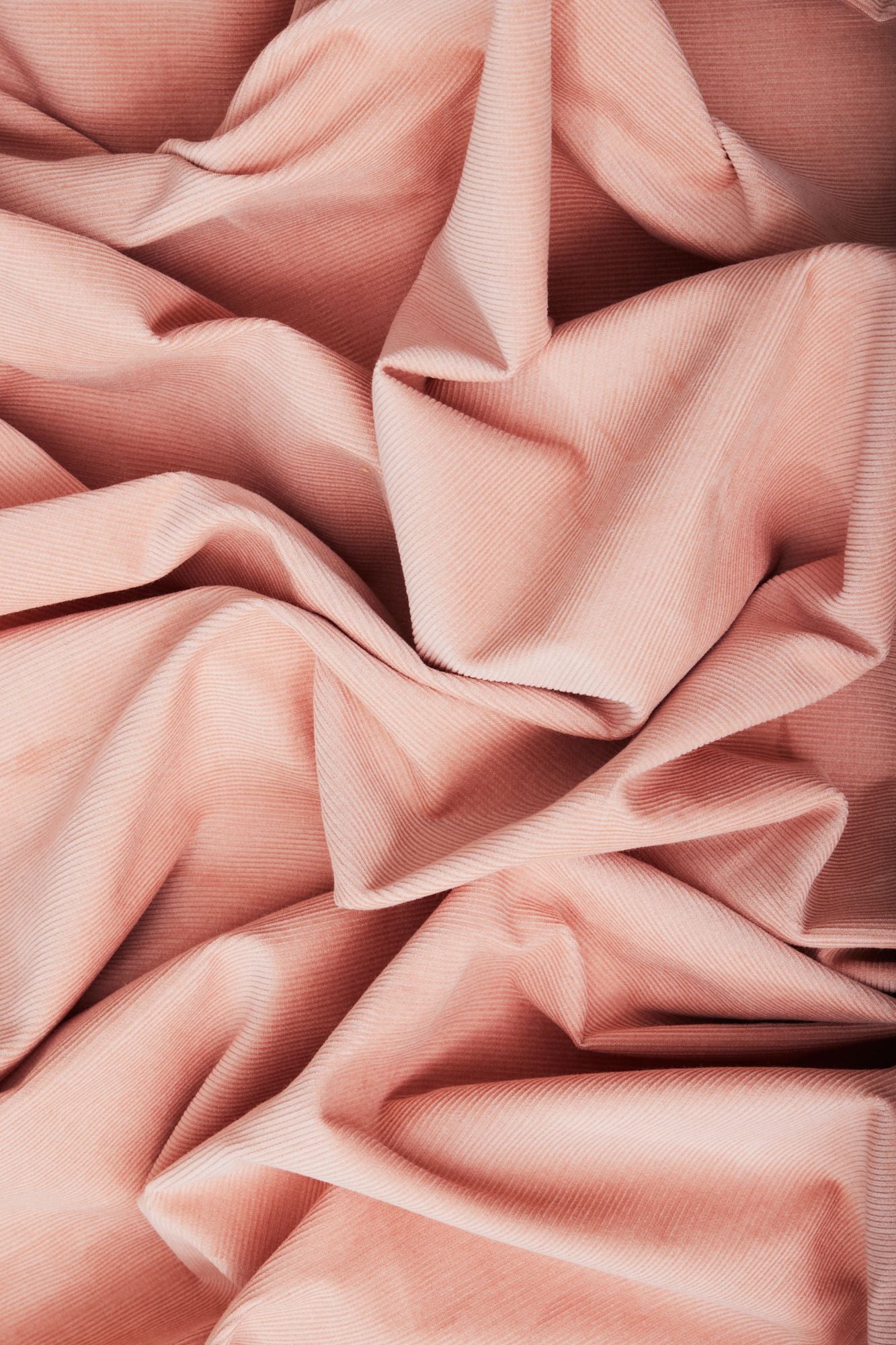 Mind the Maker® Organic Naya Needlecord in Rose