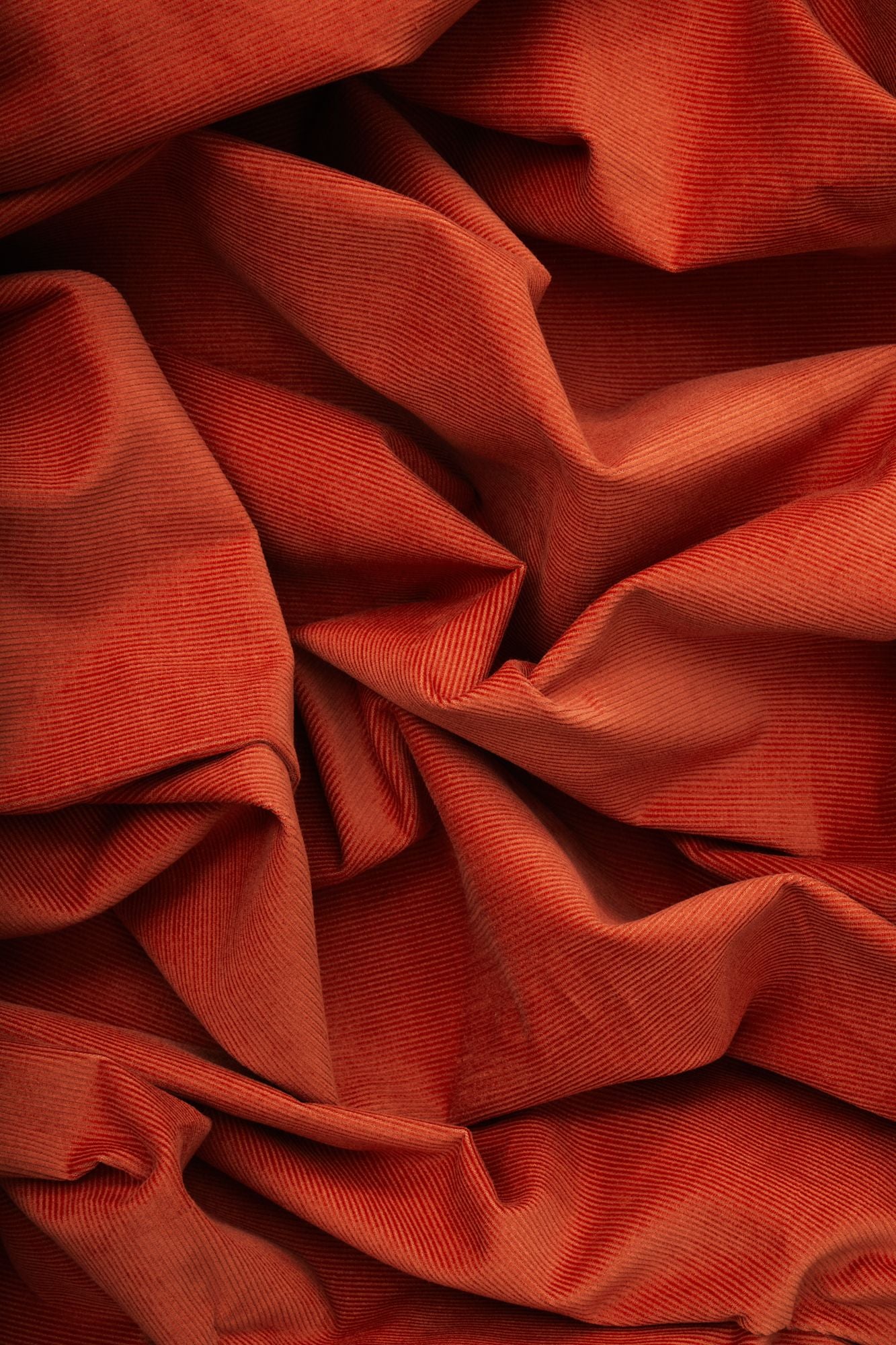 Mind the Maker® Organic Naya Needlecord in Pumpkin