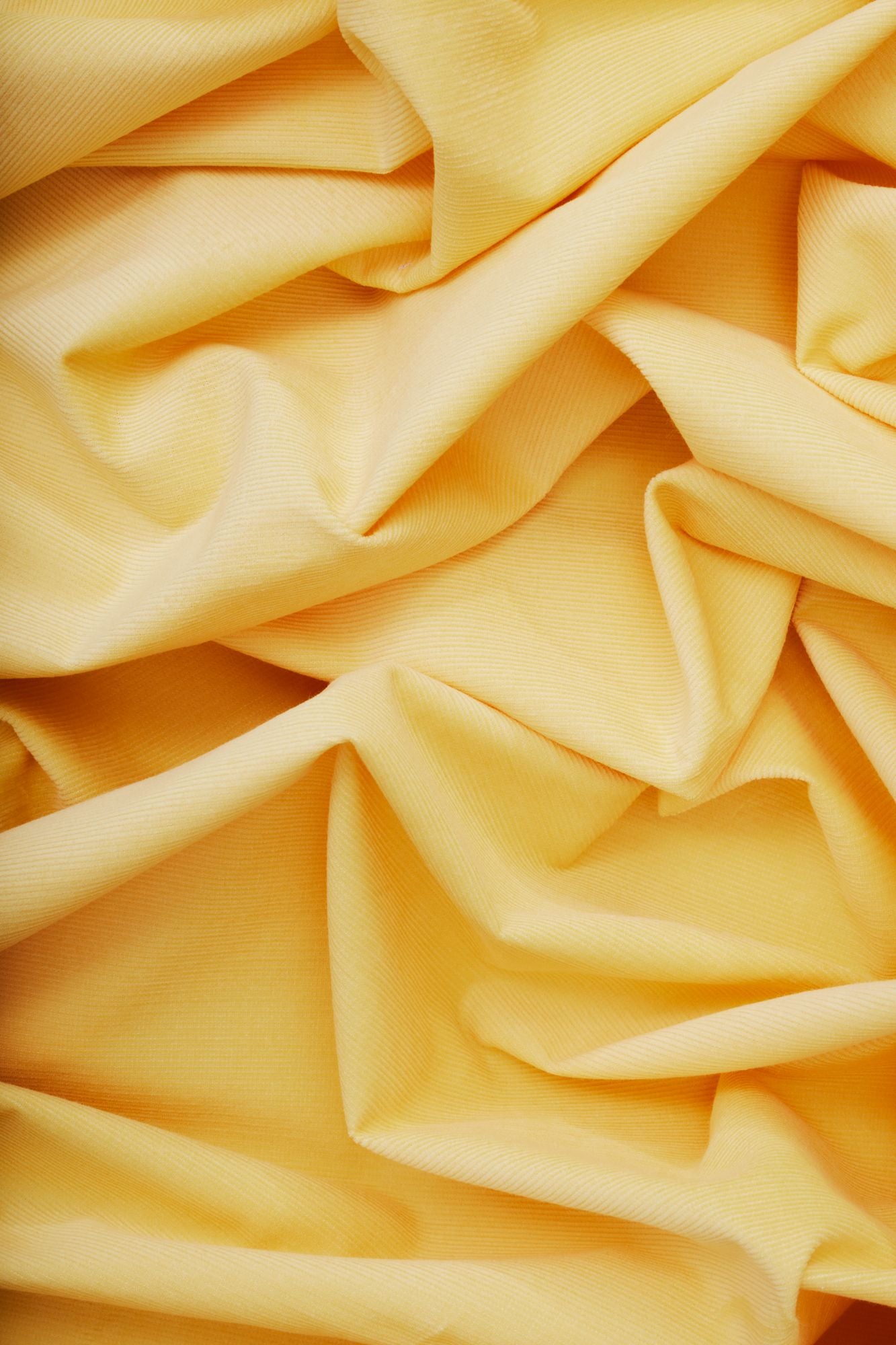 Mind the Maker® Organic Naya Needlecord in Blonde Yellow