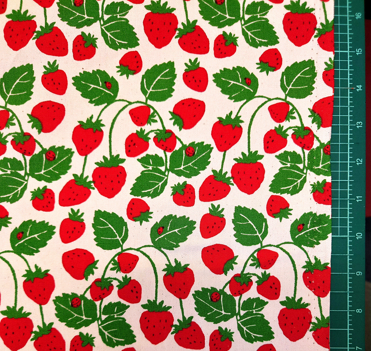 Strawberry Vines Japanese Cotton Oxford on White