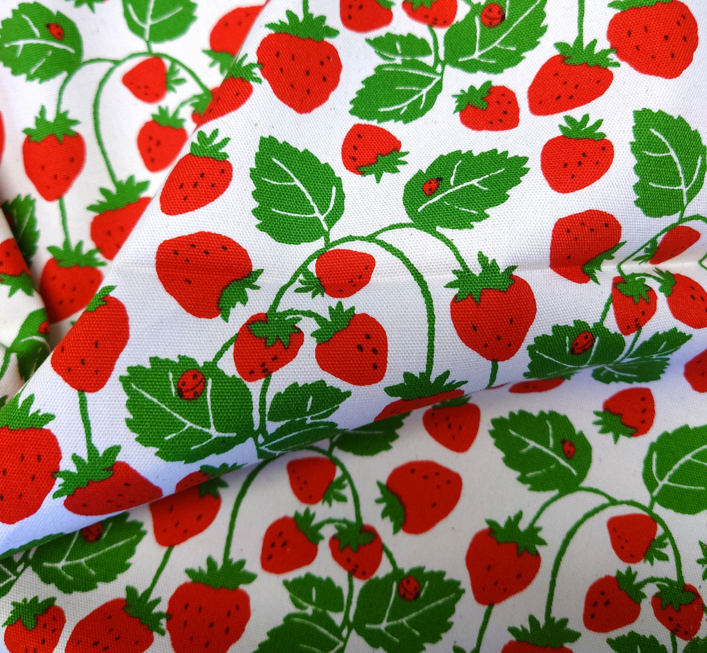 Strawberry Vines Japanese Cotton Oxford on White