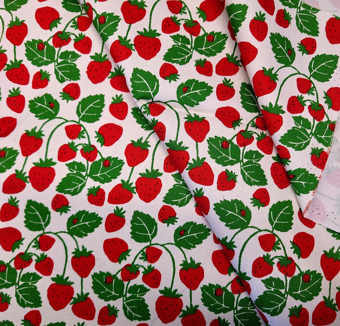 Strawberry Vines Japanese Cotton Oxford on White