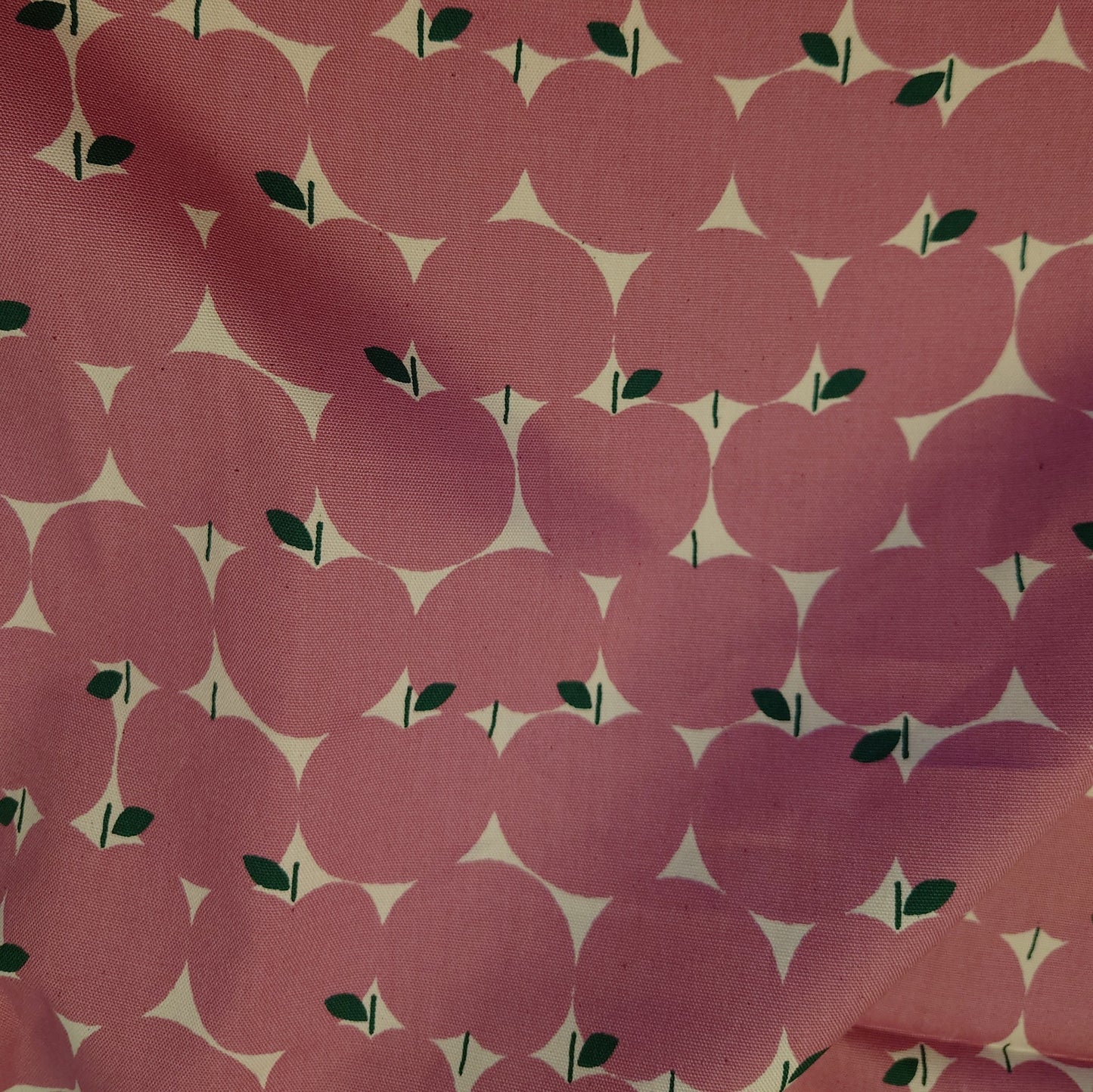 Pink Apple Japanese Cotton Oxford